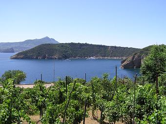 Pro Loco Tour. Una finestra sulle bellezze di Procida.