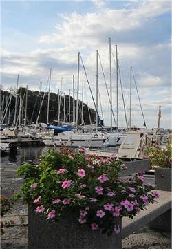 Hotel Ristorante Crescenzo a Procida. Procida. Marina Chiaiolella.