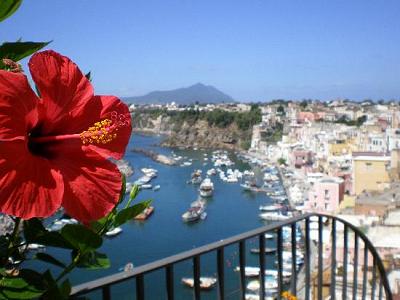 A Procida su Marina Corricella.