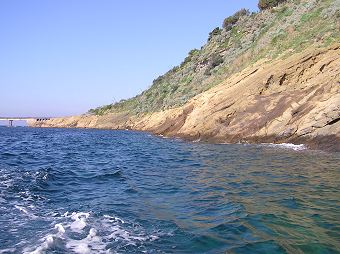 MOBY DICK. - Nel Regno di Nettuno.