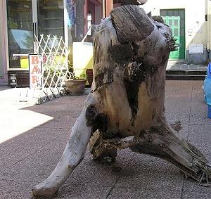 Herman, UN OPERA D'ARTE NATURALE. 
