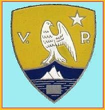 Servizi Speciali - Vigilanza Privata