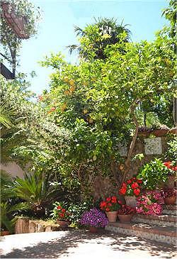 Tirreno Residence Procida.  Buone  Vacanze.