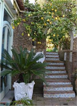 Tirreno Residence Procida.  Buone  Vacanze.