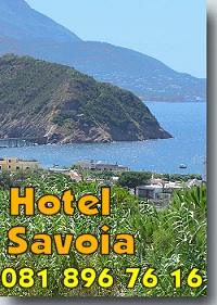 VEDUTA DALL'ALBERGO - ISCHIA E VIVARA.